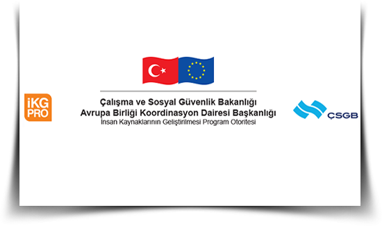 İstihdam ve Sosyal Yenilik Programı Teklif Çağrıları Yayımlandı